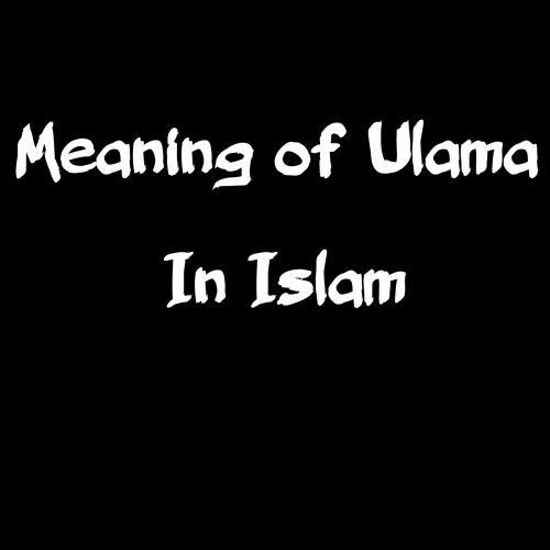 In Islam Ulama are those who are having religious knowledge about Islam